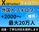X・旧Twitterの外国人フォロワーを増加します 減少率10%未満！Xフォロワー2000増加！30日減少保証！ イメージ1
