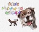 大切なペットの絵を水彩風に描きます 大切な家族のペットの写真をオシャレに水彩風に描きます イメージ1