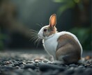 天啓霊視｜ペットの気持ちとメッセージをお伝えします ご存命の子も、虹の橋の子も対応します イメージ8