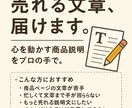 商品の説明文作ります “欲しい！”を引き出す言葉、書きます。 イメージ1