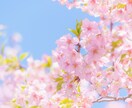今すぐ誰かに聞いてほしい！私がそっと受け止めます 毎日の喜怒哀楽をお気軽にお聞かせください♪ イメージ5