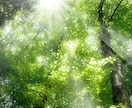 もう傷つかないで！お仕事や人間関係のお悩み聞きます 職場の辛い人間関係、仕事の悩みをタロットで鑑定します☆ イメージ1