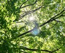 精神科病院で働いてる現役相談員が悩みを聞きます 家族や職場、友人には話せないこと。愚痴も聞きます。 イメージ2