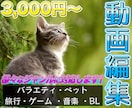 実績獲得セール中!! 動画編集 承ります YouTube等 ご要望に合わせ様々なジャンルに対応します！ イメージ1