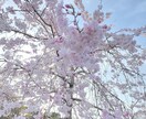 辛い時、悩んでいる時お話聞きます 現役ナースがゆっくりとあなたのお話を聞きます イメージ1