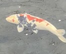 検討します 真面目に親身になってお話聞きます イメージ1