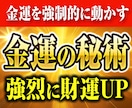 資産家一族に代々伝わる金運の秘術を直接転写します 停滞した金運を強制的に動かし、富を引き寄せる体質に変える イメージ1