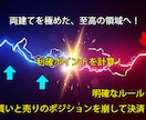 超高精度の両建てFXロジックを提供します ついに見つけたサインツールで実現する効果的な両建てロジック イメージ2