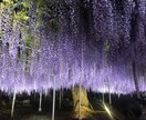 あなたの悩み聞きます 元気になる力添します。前に進みましょう。 イメージ2