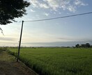 SNS投稿に最適な余白設計風景画像を提供します [SNSに最適]投稿がそのまま映える“余白設計済み風景素材 イメージ2