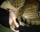 毒親関連の相談に乗ります、うつ病の話もできます 生きづらいと感じている人へ、当事者が相談に乗ります イメージ1
