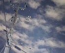 空の写真届けます 星空だったり夕焼けだったりいろいろ イメージ2