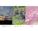 SNSに使える高品質な写真の素材提供します カメラ歴7年の私が撮影したお花や猫の イメージ6