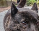 つらくて苦しい気持ちをスッキリさせます 経験あるカウンセラーが仕事/教育/家族の悩みを傾聴します。 イメージ5