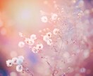 迷ったらこれ！ド定番・あの人の気持ちを視ます 今すぐ知りたい❣️サクッと短時間でもOK!気軽にお試し鑑定 イメージ6