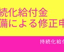 持続化補助金の交付決定前の修正対応をサポートします 実際の修正作業ノウハウや事務局対応も含めてアドバイスします イメージ1