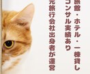 小規模宿泊施設向け｜集客施策を診断し改善提案します 元旅行会社スタッフが施策・広告を分析、改善のヒントをお届け！ イメージ7