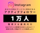 実績多数インスタ1万人フォロワー獲得運用代行します コンテンツ制作×広告運用でインスタフォロワー増やします！ イメージ1