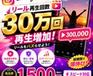 インスタグラムリール動画閲覧300000増やします インスタグラムリール動画閲覧300000増加！ イメージ1