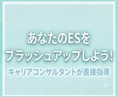 エントリーシートのブラッシュアップを支援します 面接で困らない、話しやすいESにブラッシュアップ！ イメージ1