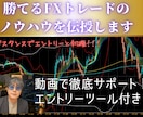 勝てるFXトレードのノウハウを伝授します FX初心者の方へわかりやすいトレード方法を提供します イメージ1