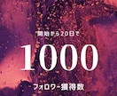 Twitterコンサルであなたの運用加速させます 20日でフォロワー1000名を達成した僕のノウハウ授けます イメージ1