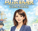 司法試験予備試験学習の進捗管理•コーチングをします 勉強の進捗管理、コーチング、勉強の質問を受けます イメージ1