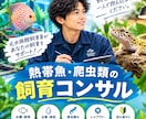 元水族館飼育員が魚・爬虫類の飼育お悩み相談のります 熱帯魚・金魚・メダカから爬虫類まで元水族館飼育員がアドバイス イメージ1