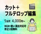 カット＋フルテロップでシンプル編集します ご予算含めシンプルなエフェクトなどもご相談下さい イメージ1