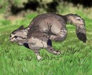 味のあるペン画で動物・ペットの絵を描きます 大切なペットの個性ある表情をこだわって描きます！ イメージ2