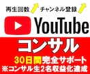 あなたのYoutubeチャンネルをコンサルします 登録者4万人越えの現役YouTuberの直接コンサル イメージ1