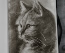 写真を“作品”に昇華する鉛筆アートを制作しますます 大切な存在を、一生残るアートに。 イメージ3