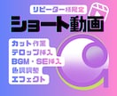 リピーター様限定｜ショート動画編集を代行いたします 1本から定期購入まで。あなたの投稿を支えます！ イメージ1