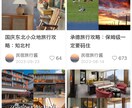中華圏向けのSNS運営代行&PR集客します 商品やサービスの認知度向上ため中華圏向け宣伝お手伝いします イメージ4