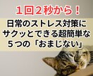 すぐできる心のちょっとしたゆとりの作り方教えます お金も時間もかけない今日からできる超簡単なストレス解消法5選 イメージ4