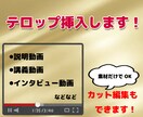 動画のテロップ挿入します インタビュー動画・講義動画、説明などのテロップ挿入。 イメージ1