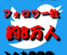 圧倒的コスパ!　Twitter約8万人に宣伝します 宣伝･集客･告知 etc... イメージ1