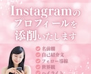 Instagramプロフィールを魅力的に添削します フォローしたくなるプロフィール作りをお手伝いします イメージ1