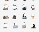 LINEスタンプ作成します 愛犬や愛猫、お子さん等、お写真を使用したLINEスタンプ⭐︎ イメージ5