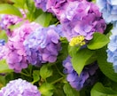 写真の加工代行致します 写真の加工が面倒... だけど写真を綺麗にしたい方にオススメ イメージ8