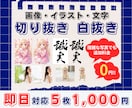 1枚【200円】写真・画像の切り抜き・白抜きします 背景透過/白背景/即日対応/複雑な被写体でも追加料金なし♩ イメージ1