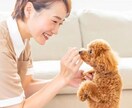 ペットシッターの開業・運営のご相談に乗ります 「動物が好き」を仕事に。最初の一歩を一緒に考えます イメージ1