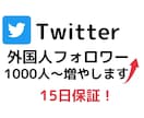 Twitter外国人フォロー増えるように宣伝します Twitter/外国人/フォロー/1000人/15日保証 イメージ1