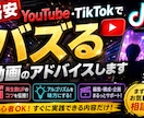 動画編集を添削・アドバイスします バズるコツ伝授！あなたのアカウントを手伝います！ イメージ1