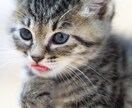 カウンセラー♣︎つらい時の悩みや不安相談にのります 5分でも短くても不安なことがあればはなし相手になります！ イメージ1
