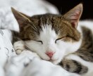 愛するペットの気持ちをタロットで読み解きます タロットでペットの本音を読み解き、あなたに伝えます！ イメージ4