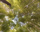 どなたでも、どんなお話でも親身になってお聞きします 愚痴ってスッキリしたい、誰でもいいから聞いて！ イメージ1