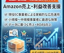 Amazon運用をプロが30日間徹底サポートします 現役マーケコンサルがAmazon出品/広告/コンサルやります イメージ1