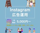 Instagram広告を1ヶ月間運用します はじめての方も安心！画像制作・運用・レポートまでサポート！ イメージ1