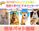 驚きと感動！ペットが喋るサプライズ動画制作します 写真と台本だけ。大切なペットが表情豊かにメッセージを届けます イメージ3